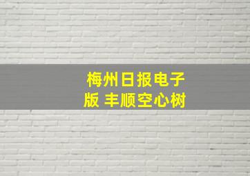 梅州日报电子版 丰顺空心树